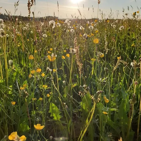 Rupp Bergblick & Private Sauna Apartamento Argenbuhl