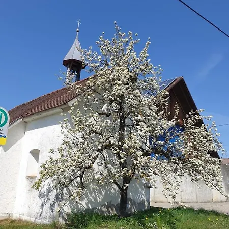 Apartamento Rupp Bergblick & Private Sauna