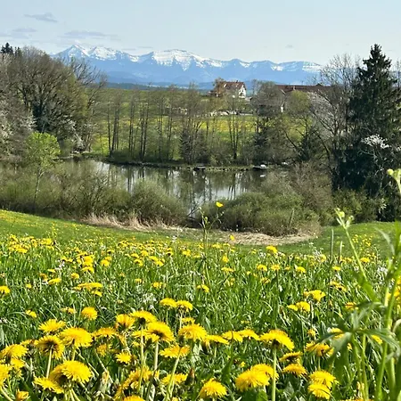 Rupp Bergblick&private Sauna Apartment *