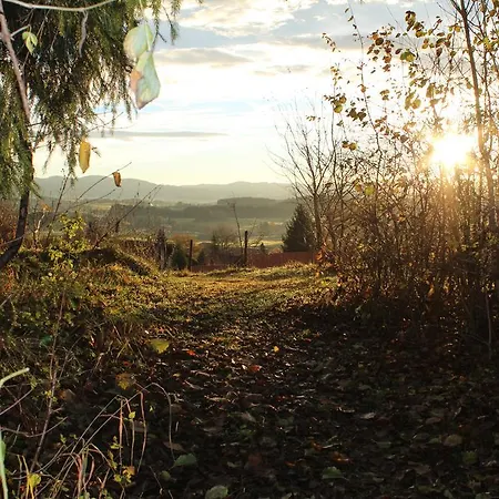 Rupp Bergblick & Private Sauna *