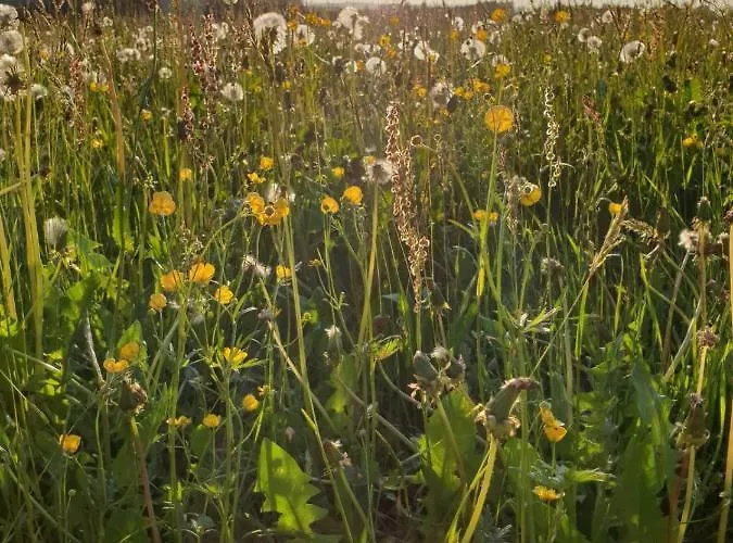 Rupp Bergblick & Private Sauna Apartament Argenbuhl