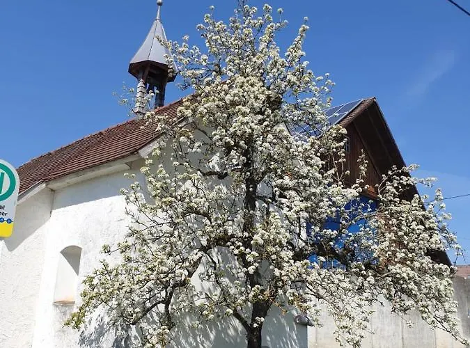 Apartment Rupp Bergblick&private Sauna