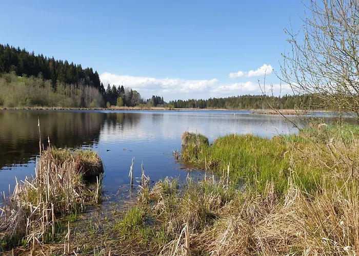 Apartament Rupp Bergblick & Private Sauna *